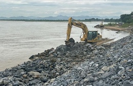 Ứng phó bão số 11: Ưu tiên an toàn đê điều, vận hành hồ đập an toàn