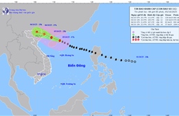 14 tỉnh, thành phố phía Bắc triển khai các biện pháp ứng phó bão số 11
