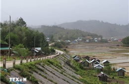 Quảng Ngãi rà soát thiệt hại sau động đất, ổn định đời sống người dân