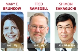 Giải Nobel Y sinh 2025 vinh danh 3 nhà khoa học Mary E. Brunkow, Fred Ramsdell và Shimon Sakaguchi