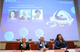 Nobel 2025: Sự kỳ diệu của &#39;lá chắn an ninh sinh học&#39;