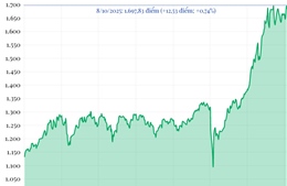 Phiên 8/10/2025: VN-Index tăng gần 13 điểm