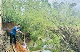 Người dân Cẩm Duệ sống bất an bên bờ sông sạt lở