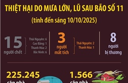 Thiệt hại do mưa lớn, lũ sau bão số 11 (tính đến sáng 10/10/2025)
