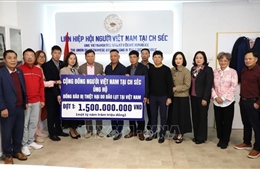 Nghĩa đồng bào của cộng đồng người Việt tại Lào, Mỹ và CH Séc