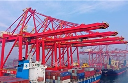 Trung Quốc ban hành quy định thu phí cảng đặc biệt đối với tàu Mỹ