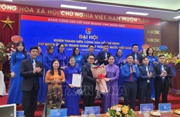 Tuổi trẻ Cơ quan Ủy ban Trung ương Mặt trận Tổ quốc Việt Nam tiên phong trong chuyển đổi số 