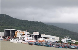 Đà Nẵng cho học sinh nghỉ học để ứng phó với bão số 12