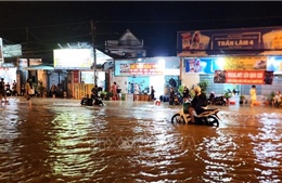 Vĩnh Long: Triều cường vượt ngưỡng gây ngập diện rộng