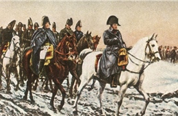 DNA hé lộ nguyên nhân bất ngờ khiến quân đội Napoleon diệt vong