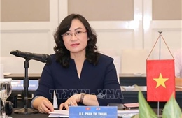 Việt Nam và Argentina tổ chức Kỳ họp lần thứ VIII Ủy ban liên Chính phủ