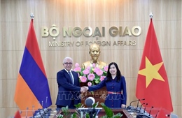 Tham vấn chính trị Việt Nam - Armenia