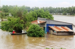 Tây Ninh căng mình giữa mùa lũ lớn