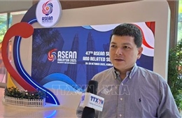 Góc nhìn chuyên gia: Việt Nam trở thành điểm tựa kinh tế và mô hình phát triển khu vực