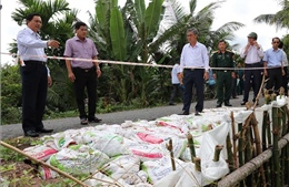 Khắc phục các điểm sạt lở tuyến đê bao ven sông Hậu