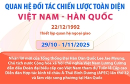 Quan hệ Đối tác chiến lược toàn diện Việt Nam - Hàn Quốc