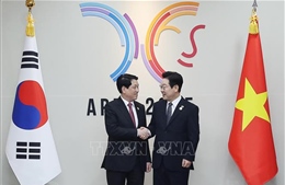 Chủ tịch nước Lương Cường hội đàm với Tổng thống Hàn Quốc