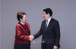 Chủ tịch nước Lương Cường tiếp Nhà sáng lập Tập đoàn MEBO International