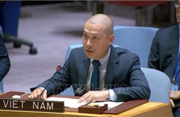 Việt Nam và quốc tế mạnh mẽ kêu gọi chấm dứt cấm vận Cuba