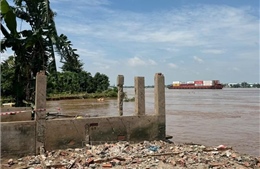 Khẩn trương xử lý sạt lở bờ sông Tiền