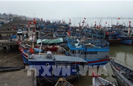 Kiểm soát, hạn chế vi phạm trong khai thác hải sản