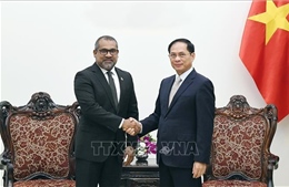 Phó Thủ tướng Bùi Thanh Sơn tiếp Bộ trưởng Ngoại giao Maldives