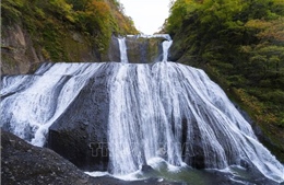 Thác Fukuroda - Tuyệt tác thiên nhiên mùa Thu tại tỉnh Ibaraki (Nhật Bản)