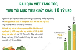 Rau quả Việt tăng tốc, tiến tới mục tiêu xuất khẩu 10 tỷ USD