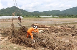Ngành điện khẩn trương ứng phó bão KALMAEGI, khắc phục hậu quả mưa lũ