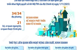 Số lượng doanh nghiệp, hộ kinh doanh thành lập mới và quay trở lại hoạt động tăng mạnh