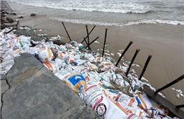 Khẩn cấp ứng phó sạt lở bờ biển, đe dọa đê biển Đông tại Cần Thơ