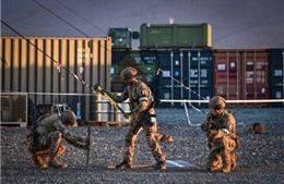 NATO kiểm nghiệm năng lực phòng thủ ở sườn phía Đông