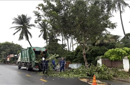 Gấp rút hoàn thành các công đoạn cuối cùng phòng chống bão số 13