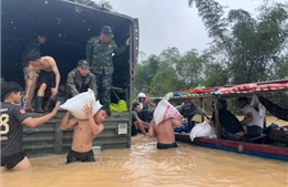 Sở Y tế Đà Nẵng triển khai các gói hỗ trợ khẩn cấp sau thiên tai