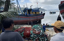 Thiệt hại nặng do bão số 13, Đắk Lắk nỗ lực khôi phục sản xuất