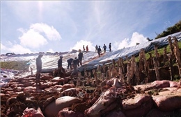 Lâm Đồng: Hồ Cay An ổn định sau đêm gia cố khẩn cấp, 110 hộ dân được di dời