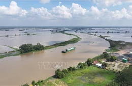 Lũ trên sông Vàm Cỏ Đông, Vàm Cỏ Tây vượt báo động III, nguy cơ ngập sâu, vỡ đê