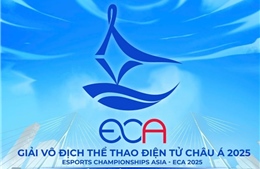 Việt Nam lần đầu tiên đăng cai Giải vô địch Thể thao điện tử châu Á 2025