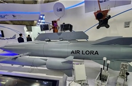 Ấn Độ, Israel hợp tác sản xuất tên lửa tầm xa