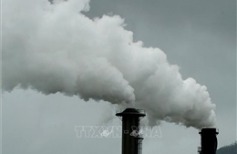 Thuế carbon của EU có thể gây tranh cãi tại COP30