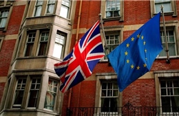 EU nhất trí đàm phán liên kết thị trường carbon với Anh