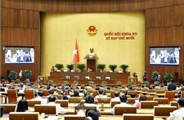 Thông cáo báo chí số 19, Kỳ họp thứ 10, Quốc hội khóa XV