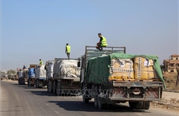Xung đột Hamas - Israel: Mở lại cửa khẩu phía Bắc Gaza cho xe cứu trợ