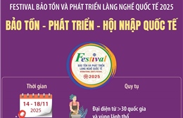 Festival bảo tồn và phát triển làng nghề quốc tế 2025