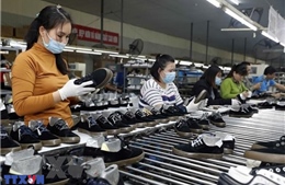 Hội nhập sâu, nội lực mạnh - Bài 2: Tận dụng FTA tạo xung lực mới cho tăng trưởng kinh tế