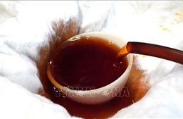 Chuẩn hóa sản xuất, nâng tầm thương hiệu nước mắm Phú Quốc