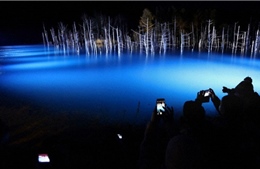 Nhật Bản: Hồ Xanh ở Hokkaido lấp lánh trong lễ hội ánh sáng