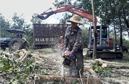 Tăng tốc sớm giải phóng mặt bằng dự án cao tốc Gia Nghĩa - Chơn Thành