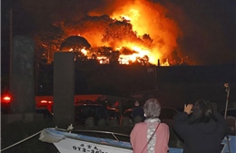 Cháy lớn tại Nhật Bản, thiêu rụi 170 ngôi nhà và công trình