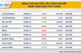 Thị trường hàng hóa đảo chiều: Giá ca-cao tạo đáy, dầu thô mất đà